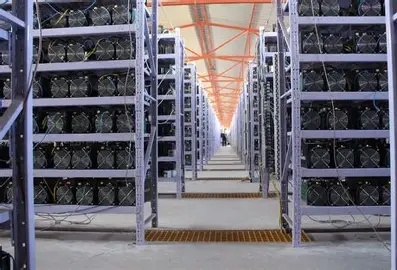 An expansive mining farm showcasing advanced hosting solutions